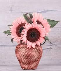 Pink Sunflower Perennial Flower Seeds for Planting – Heirloom, Non-GMO, High Germination Organic Garden Seeds