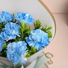 Sky Blue Carnation Flower Seeds for Planting – Heirloom, Non-GMO, Vibrant Colors Organic Garden Seeds