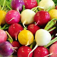 Rainbow Radish Seeds for Planting – Heirloom Non-GMO Green & White Variety – Organic Garden Seeds, High Germination