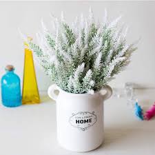 Provence Lavender White Flower Seeds for Planting | Heirloom Non-GMO Organic Garden Seeds, High Germination
