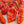 Vegetable Seeds,Garden seeds, Seeds For Planting,Plant Seeds