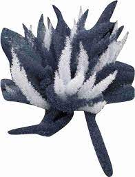 Herb Seeds,Garden seeds, Seeds For Planting,Plant Seeds