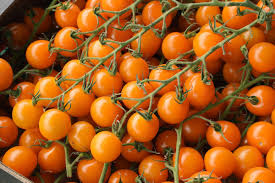 Orange Grape Tomato flower seeds for planting - Heirloom &amp; Non-GMO Garden Seeds