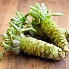 Wasabi Vegetable Seeds for Planting – Heirloom Non-GMO Organic Garden Seeds, Spicy Roots for Bonsai or Culinary Use