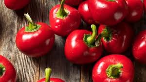 Cherry Pepper flower seeds for planting - Heirloom & Non-GMO Garden Seeds