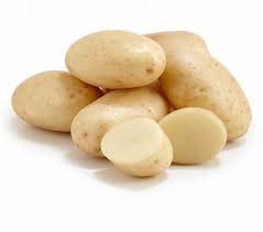 Potato Seeds for Planting Cream – Heirloom, Non-GMO, Organic Garden Seeds –  Versatile Crop, High Germination