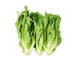 Green Yau Mak Choi Seeds for Planting – Heirloom Non-GMO, High Germination Organic Garden Seeds