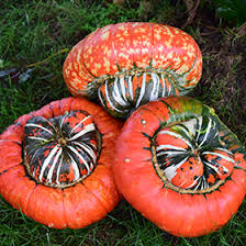 Turk's Turban Cucurbita Seeds for Planting – Heirloom Non-GMO Organic Garden Seeds – Ornamental Gourds for Festive Decor
