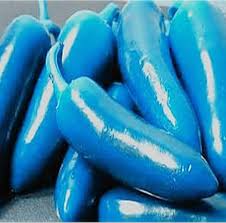 Sky Blue Pepper flower seeds for planting - Heirloom &amp; Non-GMO Garden Seeds