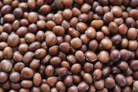 Brown Sweet Soybean flower seeds for planting - Heirloom & Non-GMO Garden Seeds