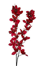 Flower Seeds, Seeds,Seeds For Planting,Plant Seeds