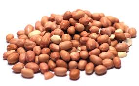 Dichondra Peanut Plant Seeds for Planting – Heirloom Non-GMO Early Spanish Peanut Seeds