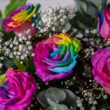 Rainbow Rose Purple Flower Seeds – Fragrant, Heirloom & Non-GMO Seeds for Planting