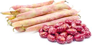 Vegetable Seeds,Garden seeds, Seeds For Planting,Plant Seeds