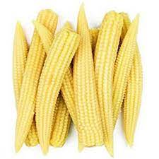 Baby Corn Seeds for Planting – High-Yield Hybrid Sweet Corn Seeds, Heirloom & Non-GMO Garden Vegetable Seeds