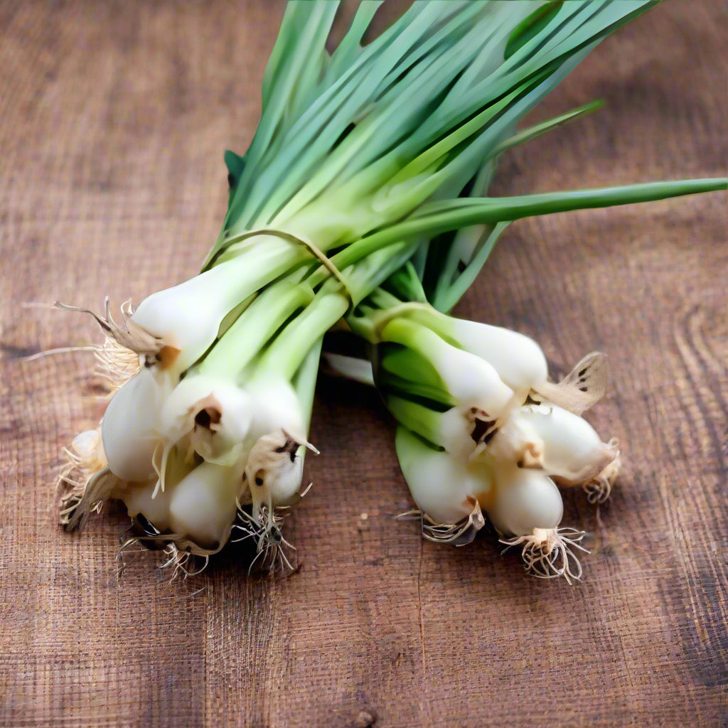 Vegetable Seeds,Garden seeds, Seeds For Planting,Plant Seeds