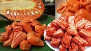 Fruit Seeds,Garden seeds, Seeds For Planting,Plant Seeds