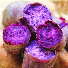 Purple Sweet Potato Seeds for Planting – Heirloom Non-GMO Starchy & Sweet – Organic Garden Seeds, High Germination.