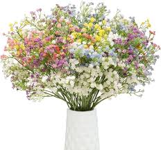 Mixed Gypsophila Paniculata Flower Seeds for Planting – Long Bloom Season, Heirloom, Non-GMO, High Germination Organic Garden Seeds