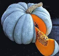 Blue Moon Pumpkin Seeds for Planting – Heirloom, Non-GMO, Organic Garden Seeds, High Germination, Unique Vegetable Displays