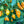 Vegetable Seeds,Garden seeds, Seeds For Planting,Plant Seeds