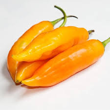 Vegetable Seeds,Garden seeds, Seeds For Planting,Plant Seeds