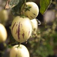 Fruit Seeds,Garden seeds, Seeds For Planting,Plant Seeds