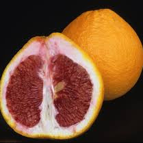 Fruit Seeds,Garden seeds, Seeds For Planting,Plant Seeds