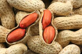 Vegetable Seeds,Garden seeds, Seeds For Planting,Plant Seeds