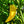 Vegetable Seeds,Garden seeds, Seeds For Planting,Plant Seeds