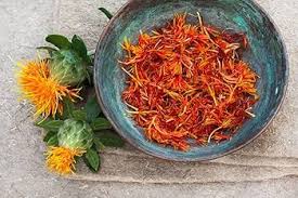 Safflower Flower Seeds for Planting – Colorful Display, Heirloom, Non-GMO, High Germination Home Garden