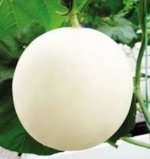 Fruit Seeds,Garden seeds, Seeds For Planting,Plant Seeds