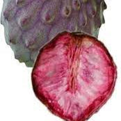 Fruit Seeds,Garden seeds, Seeds For Planting,Plant Seeds