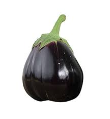 Futaba Giant Black Eggplant Seeds for Planting – Heirloom Non-GMO Organic Garden Seeds – Glossy, Flavorful Variety