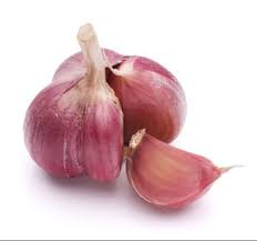 Red Garlic Seeds for Planting – Heirloom, Non-GMO, High Germination Organic Garden Cloves for Strong, Aromatic Bulbs