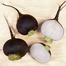 Radish Seeds for Planting Black – Heirloom Non-GMO, Crisp Flavorful Organic Garden Seeds, High Germination