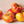 Big Yellow-Orange Tomato Seeds for Planting – Heirloom Non-GMO Organic Garden Seeds with High Germination