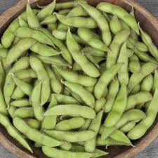 Giant Soybean Vegetable Seeds for Planting – Heirloom, Non-GMO, Organic Garden Seeds, High Germination, Protein-Rich Crop