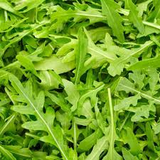 Green Rocket Salad flower seeds for planting - Heirloom & Non-GMO Garden Seeds