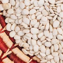 White Bean Vegetable Seeds for Planting – Heirloom Non-GMO, High Germination Organic Garden Seeds