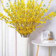 Forsythia Hampshire Flower Seeds – Heirloom, Non-GMO, Premium Quality