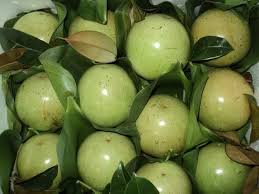 Fruit Seeds,Garden seeds, Seeds For Planting,Plant Seeds