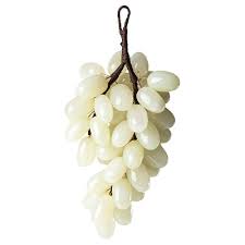 Fruit Seeds,Garden seeds, Seeds For Planting,Plant Seeds