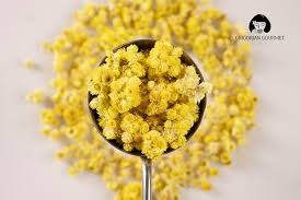 Heirloom Immortelle Flower Seeds for Planting – Shade Tolerant, Non-GMO, High Germination Organic Garden Seeds