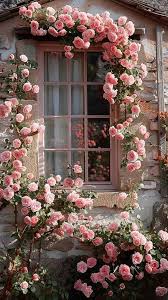Climbing Rose Flower Seeds – Light Pink Heirloom Non‑GMO Seeds for Planting, High Germination Organic Garden Seeds