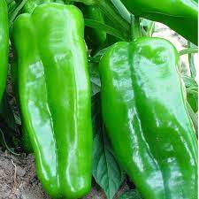 Vegetable Seeds,Garden seeds, Seeds For Planting,Plant Seeds