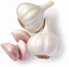 Vegetable Seeds,Garden seeds, Seeds For Planting,Plant Seeds