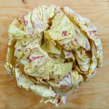 Castelfranco Radicchio Seeds for Planting – Heirloom, Non-GMO, Organic Garden Seeds – High Germination, Vibrant Salad Greens