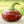 Basque Nora flower seeds for planting - Heirloom & Non-GMO Garden Seeds