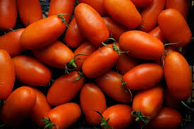Red San Marzano flower seeds for planting - Heirloom & Non-GMO Garden Seeds
